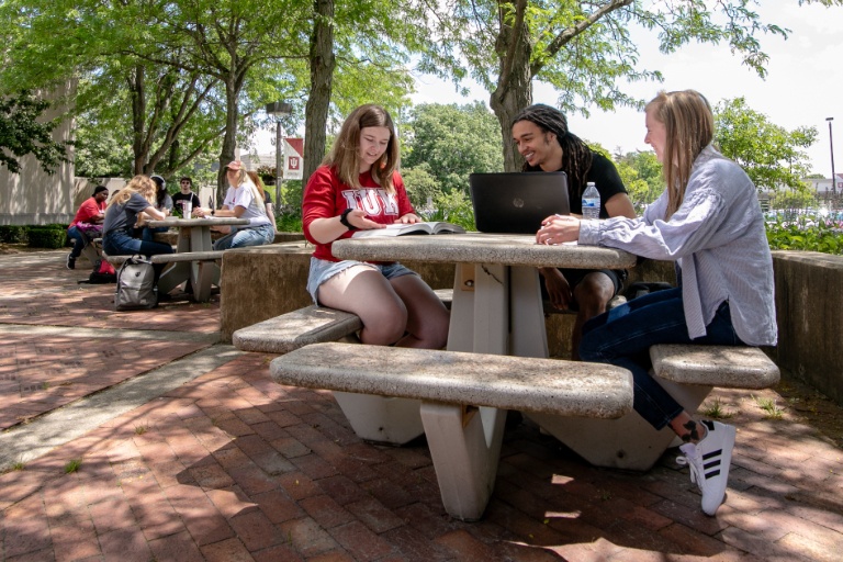 Students studying outside on campus.