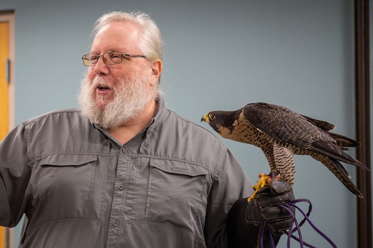 Wildlife educator holding a peregrine falcon.